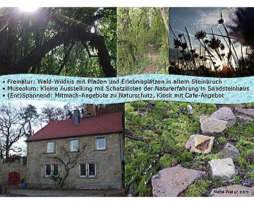 Mitmachmuseum Rheinland-Pfalz Ausflugsziel Staudernheim