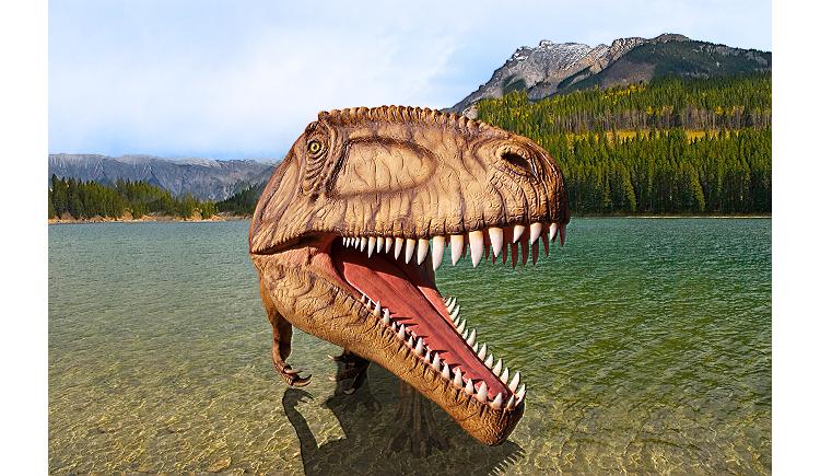 Die Aufblasbare Poolabdeckung Mdr Einfach Genial 13 09