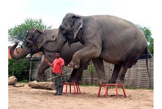 Winter In Sachsenmamilade Ausflugsziele