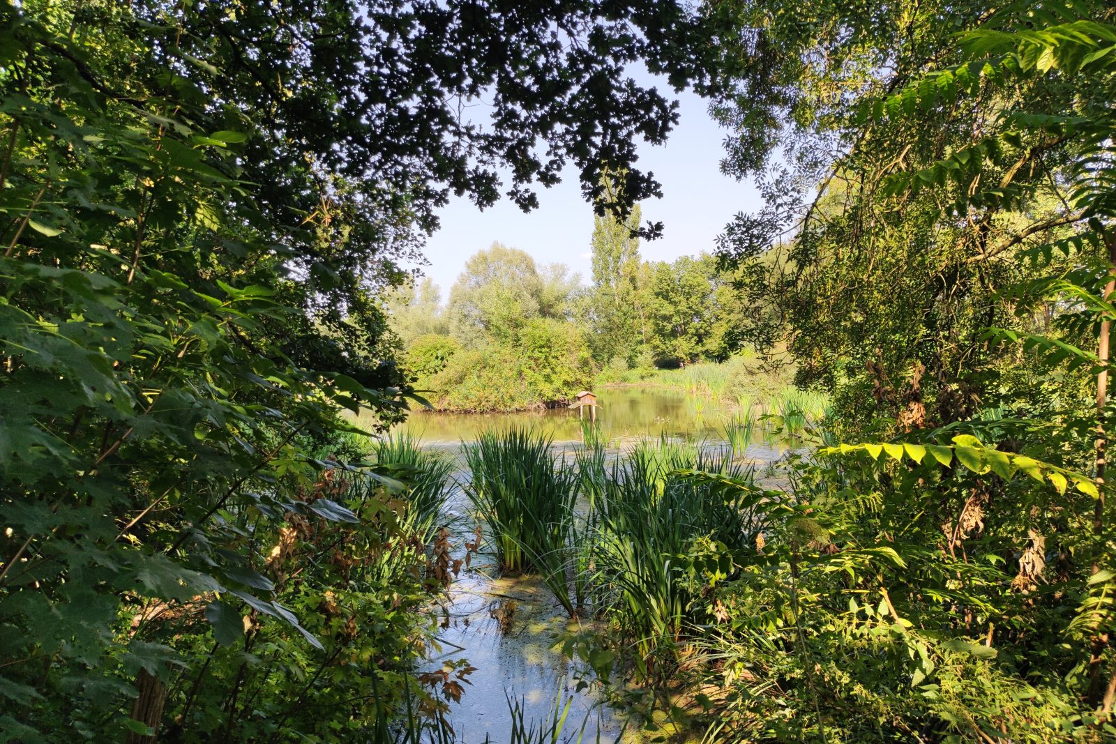 Taizé, Bild 1