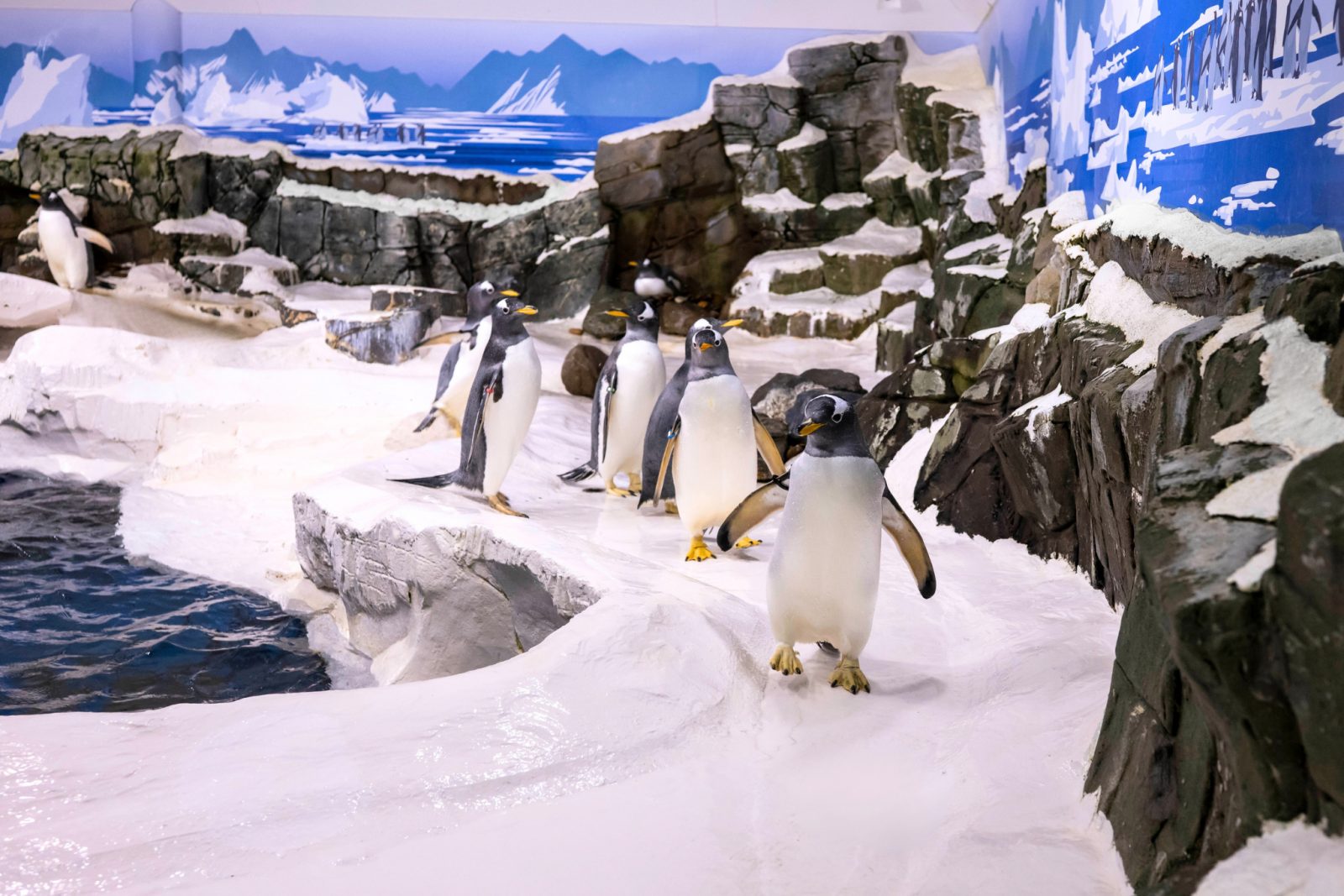 SEA LIFE Konstanz, Bild 1