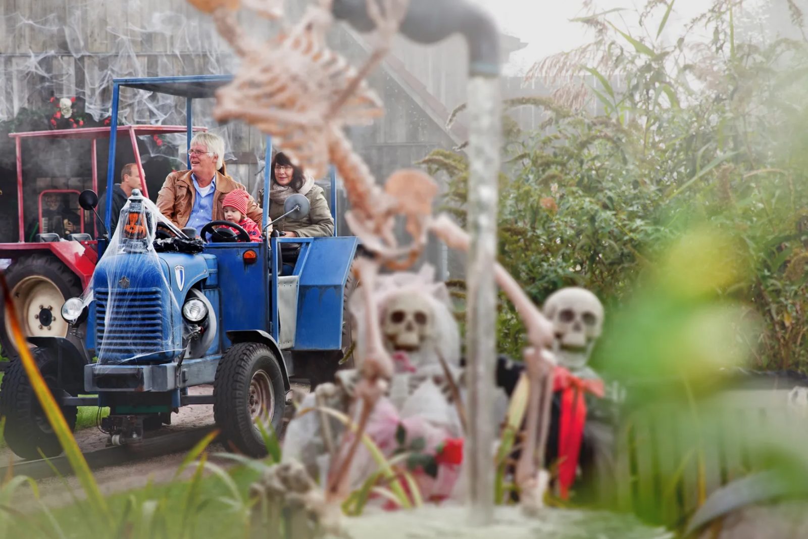🎃👻 Grusel-Oktober bei Karls in Döbeln: Wo die Erdbeerspinnen tanzen!, Bild 1