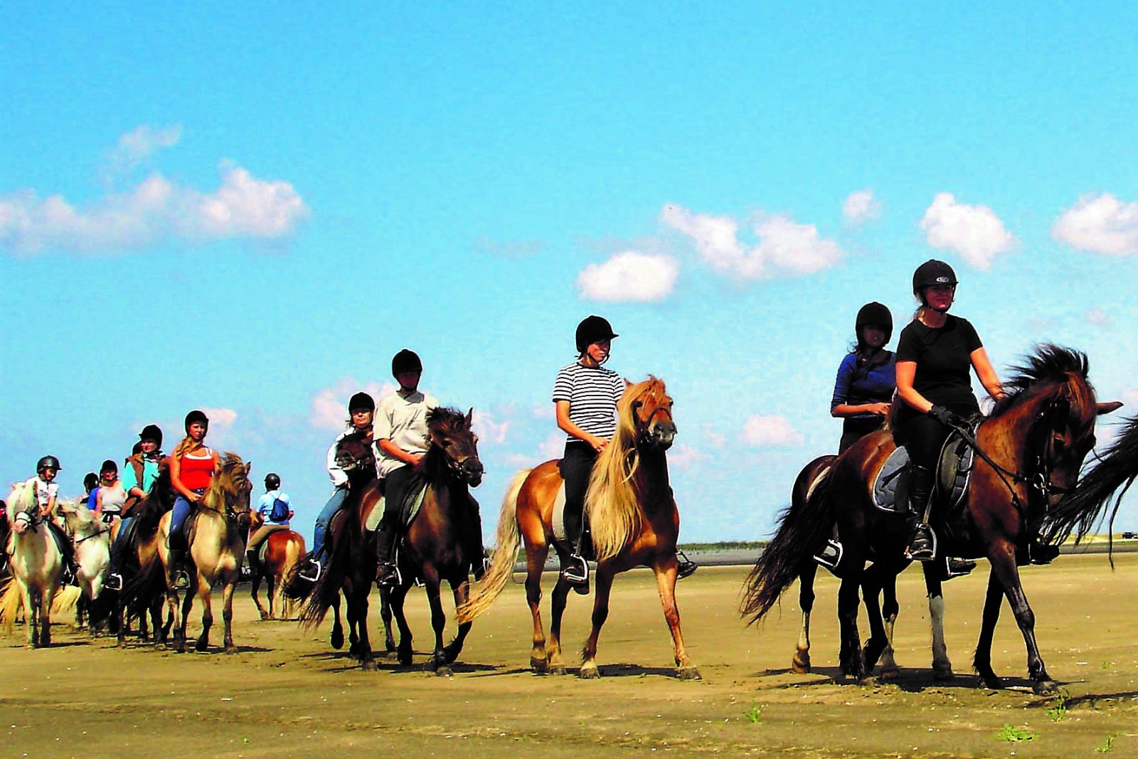 Reiten und Relaxen in Dänemark, Bild 1