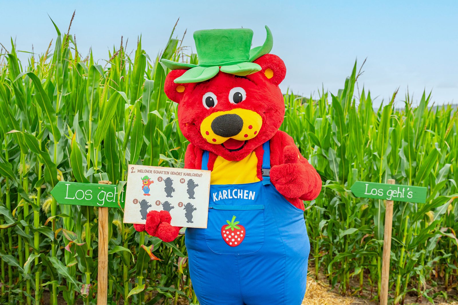 Maislabyrinth in Karls Erlebnis-Dorf Zirkow 🌽🍓, Bild 1