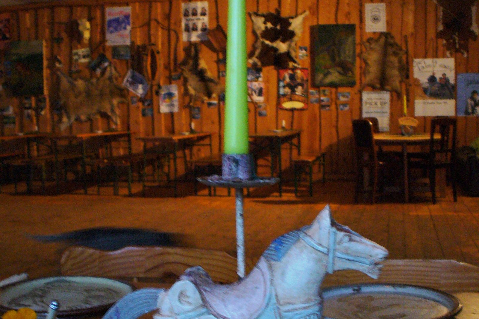 Reiten in Mecklenburg Vorpommern