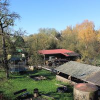 Kinderfreizeit auf den Bauernhof