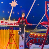 Manege Frei in Illertissen
