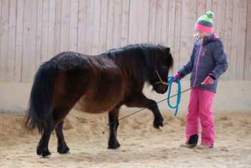 Horsemanship Wochenende, Bild 1