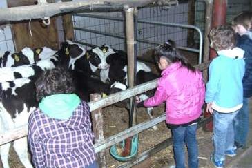 Kindergeburtstag feiern