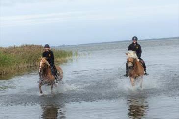 Reiterferien an der Ostsee, Bild 1