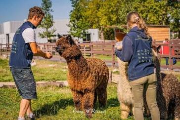 Ferienprogramm im KALISTO
