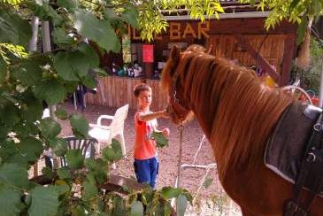 Bauernhof Erlebnisse, Ponyreiten, Kindergeburtstage, Ferienbetreuung, Alpakaspazierga, Bild 1
