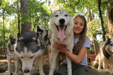 Husky Vor-/Nachmittag, Bild 1