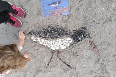 Strandrallye für Familien im Landschaftsschutzgebiet „Küstenlandschaft Priwall“