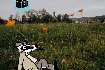 Detektiv-Trail Neumarkt am Wallersee: Spannende Schatzsuche für Rätselfreunde, Bild 1