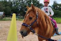 Bauernhof Erlebnisse, Ponyreiten, Kindergeburtstage, Ferienbetreuung, Alpakaspazierga, Bild 1