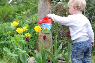 Garten ► kinderfreundlich gestalten