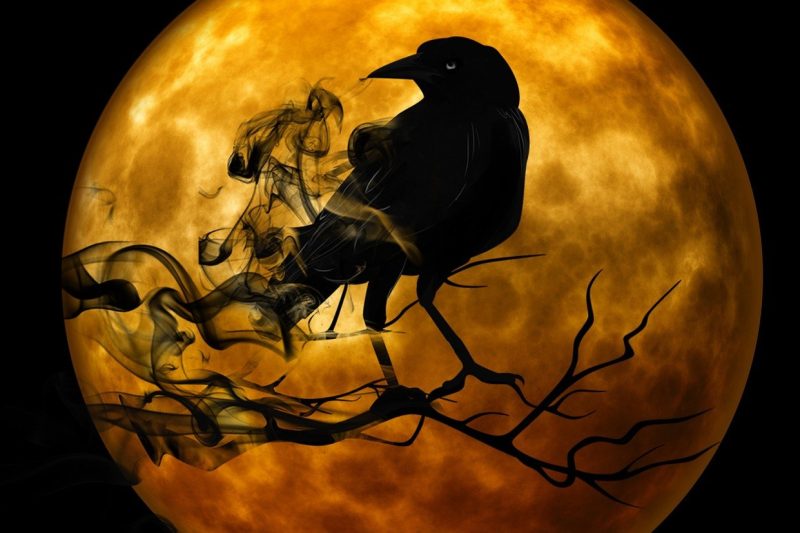 Horror-Slots: Gänsehaut und gruselige Gewinne in Online Casino Spielen in Deutschland