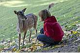 Wildpark Schwarze Berge - Rosengarten