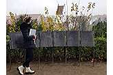 LivingHistory´s - spannende Stadtführungen für Kinder in Ingolstadt