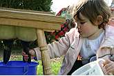 im Schwarzwald für Kinder - Kuhle´s Bauernhof Diplom