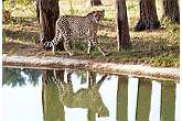 Serengeti-Park Hodenhagen GmbH