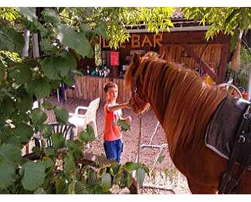 Bauernhof Erlebnisse, Ponyreiten, Kindergeburtstage, Ferienbetreuung, Alpakaspazierga