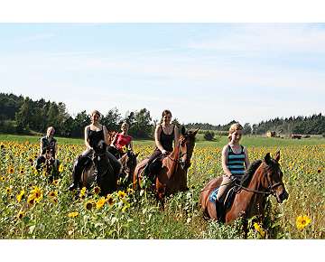 Reiterhofferien als Feriencamp für die Familie: Reiturlaub muss nicht teuer sein