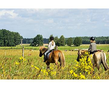 Ferien auf dem Reiterhof 