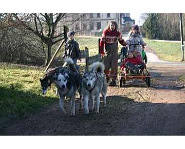 Schnupper Tour mit Huskys