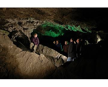 Noctalis - Welt der Fledermäuse und Kalkberghöhle