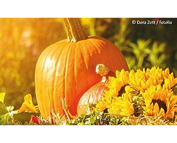 Handwerkerfest zum Erntedank in Hennigsdorf