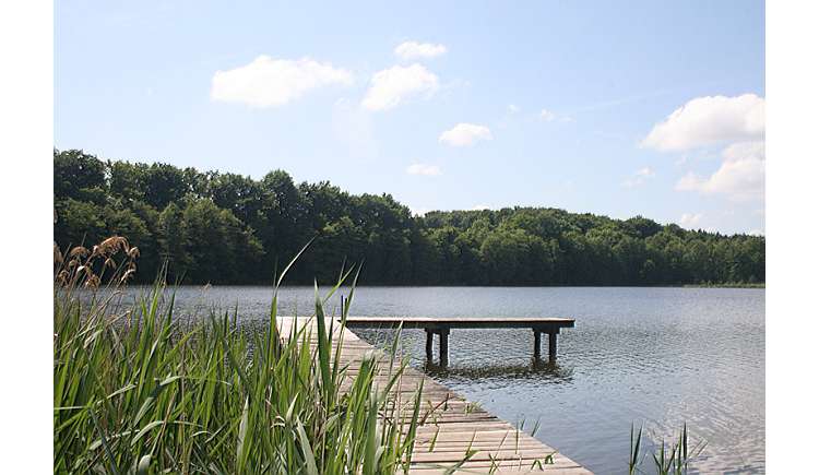 Badesee in Mecklenburg Vorpommern an der Müritz