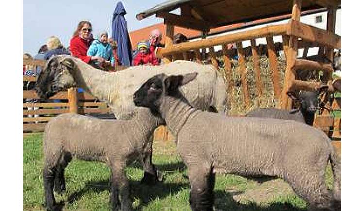 Et labora! - Handwerk im Kloster
