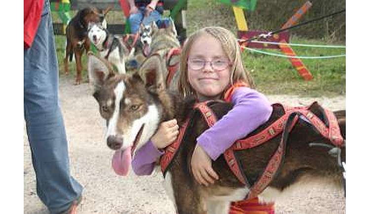 Toben und Kuscheln mit Husky