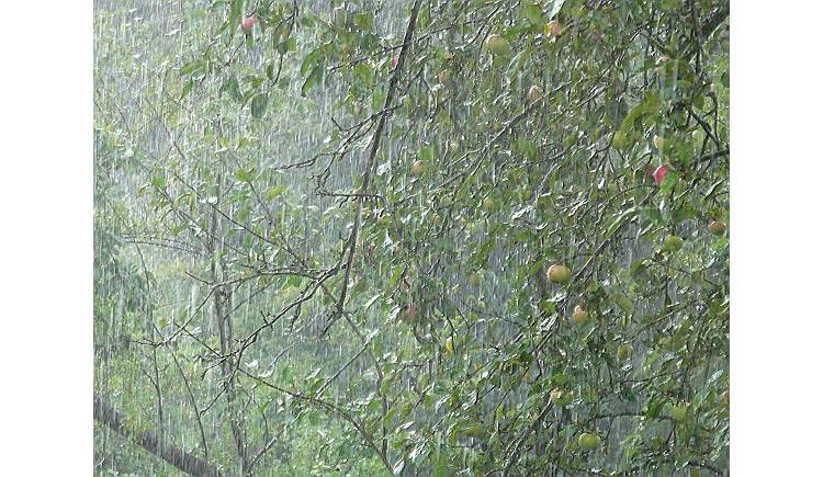 Ferien im Regen und trotzdem schön