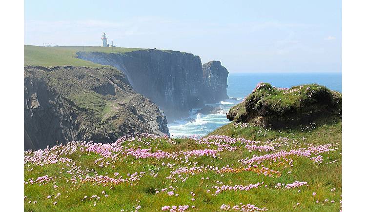 Irland mit Kindern entdecken: Warum eine Rundreise besonders familienfreundlich ist